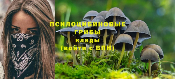 эйфоретик Абаза