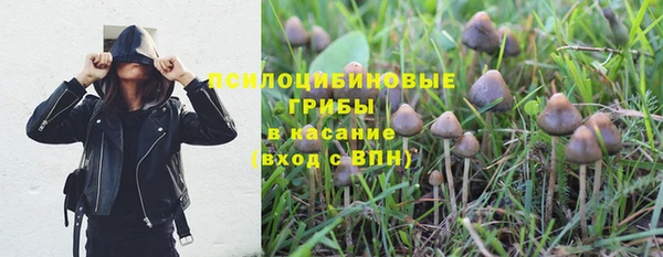 эйфоретик Абаза