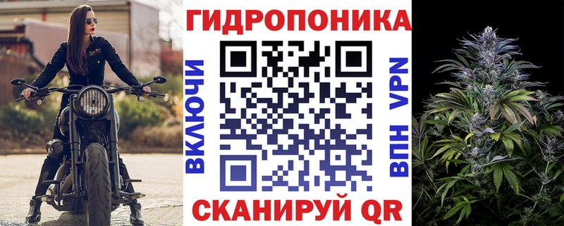 где найти   Сокол  Марихуана MAZAR 